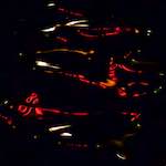 Third image from the photoset 'amsterdam (xxv)'.