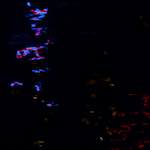 Fifth image from the photoset 'amsterdam (xxv)'.