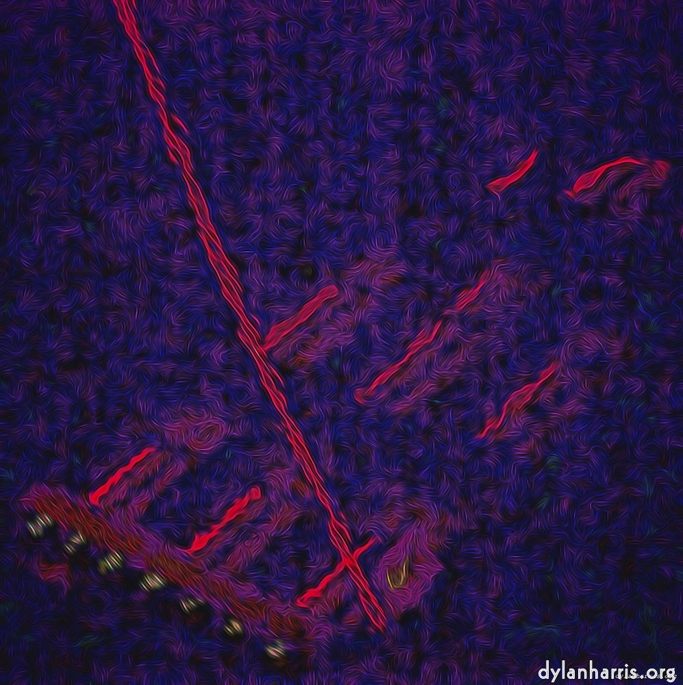 image: This is &lsquo;amsterdam (xxxi) 2&rsquo;.