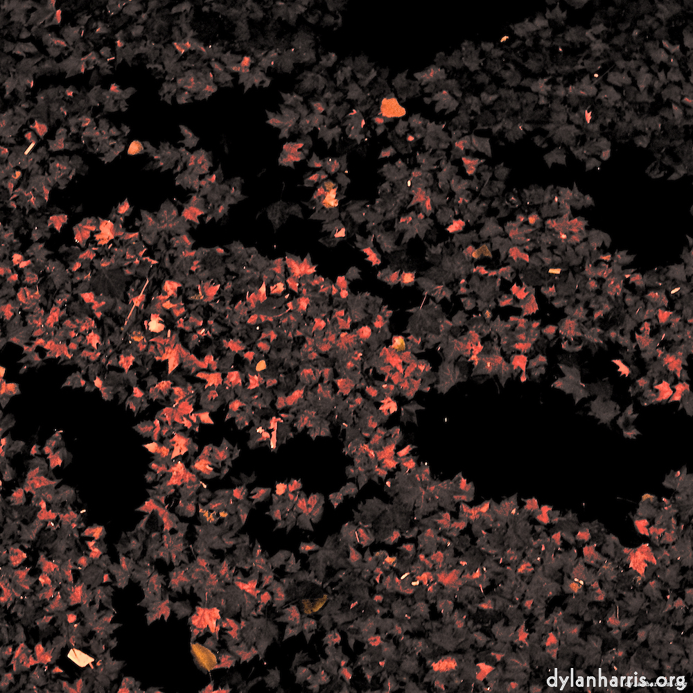 Image: Image 'nuit (ii) 2'.