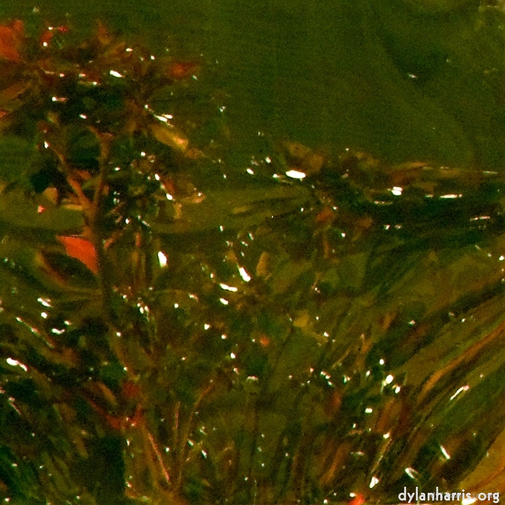 Image 'la d&eacute;fense (xv) 3'.