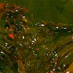 Third image from the photoset 'la d&eacute;fense (xv)'.