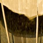 Fourth image from the photoset 'la d&eacute;fense (xix)'.