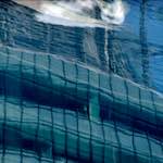 Ninth image from the photoset 'la d&eacute;fense (xix)'.