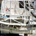 Third image from the photoset 'la d&eacute;fense (xxi)'.