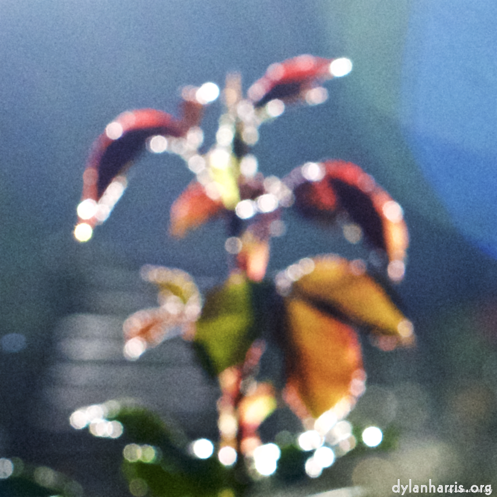 Image: Image 'esch&ndash;sur&ndash;alzette (v) 2', at Escher D&eacute;ierepark, head and torso of a doe.