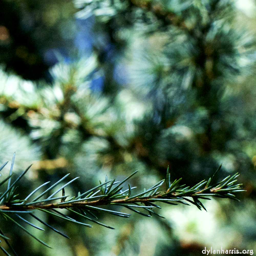 Image 'esch&ndash;sur&ndash;alzette (v) 4', at Escher D&eacute;ierepark, a doe realises I&rsquo;ve no treats.
