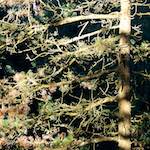 First image of Escher D&eacute;ierepark, from the photoset 'esch&ndash;sur&ndash;alzette (v)'.