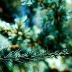 Fourth image of Escher D&eacute;ierepark, from the photoset 'esch&ndash;sur&ndash;alzette (v)'.