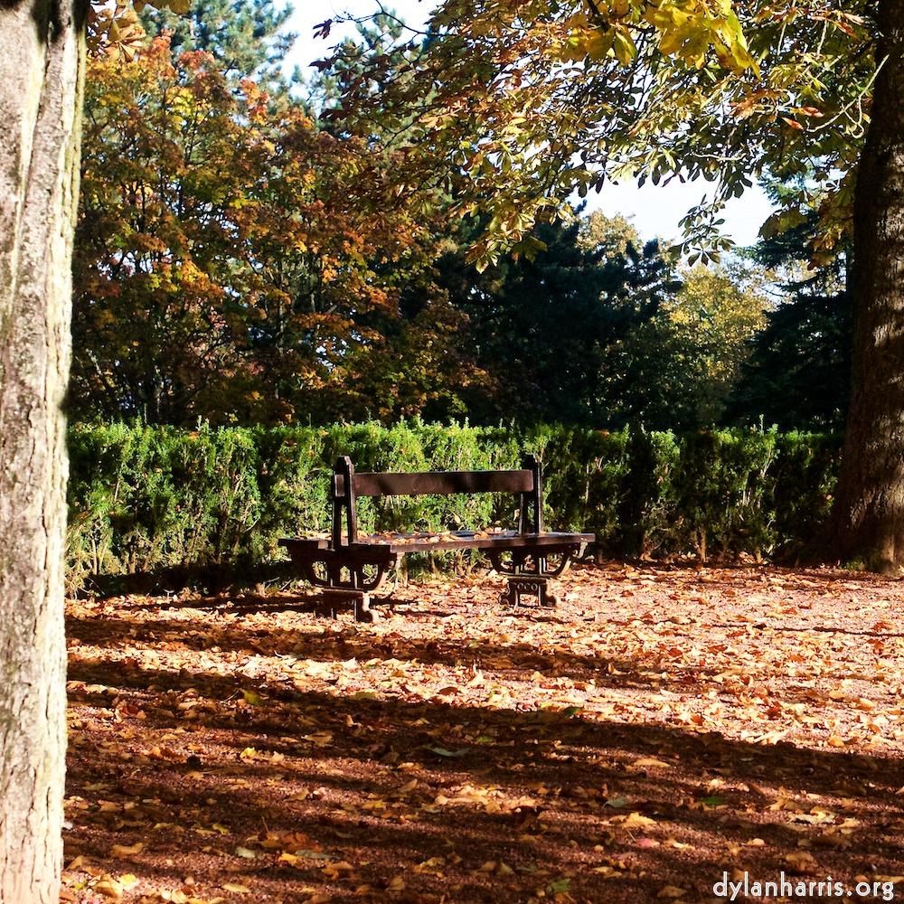 Image: Image 'autumn (iv) 3'.