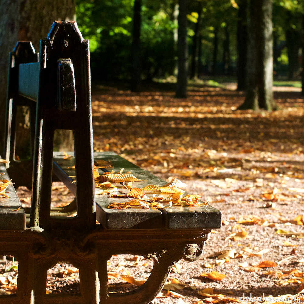 Image 'autumn (iv) 5'.