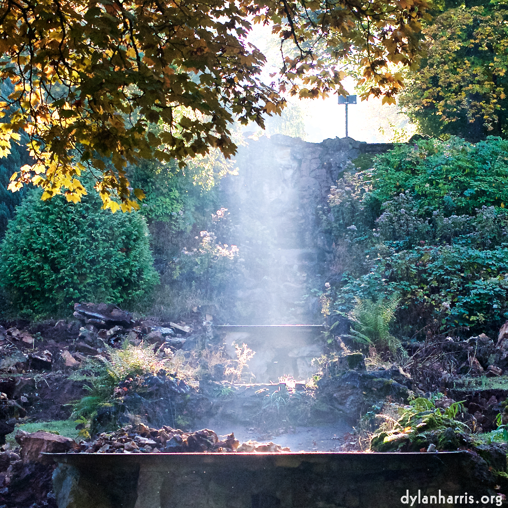 Image 'autumn (iv) 8'.