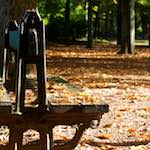 Fifth image from the photoset 'autumn (iv)'.