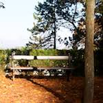 Seventh image from the photoset 'autumn (iv)'.