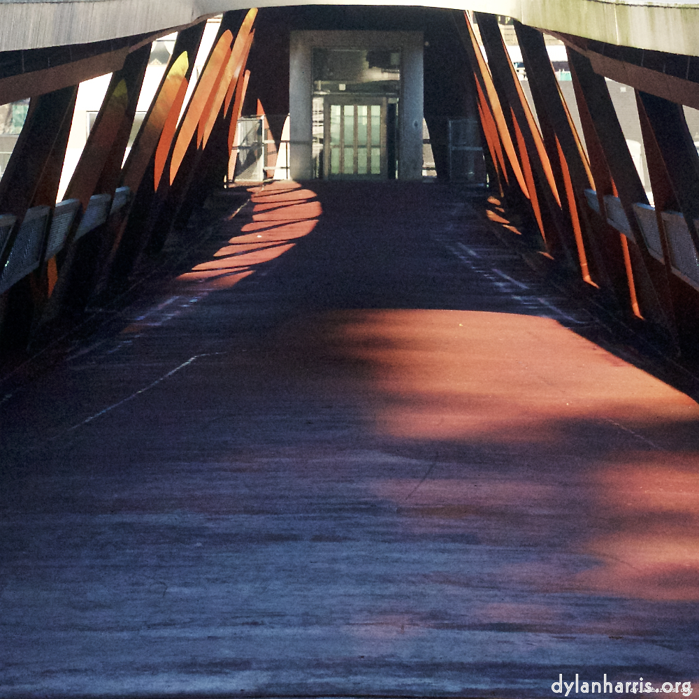 Image 'esch&ndash;sur&ndash;alzette (vi) 1', at Escher D&eacute;ierepark, of a male goat with a near&ndash;circular horn.