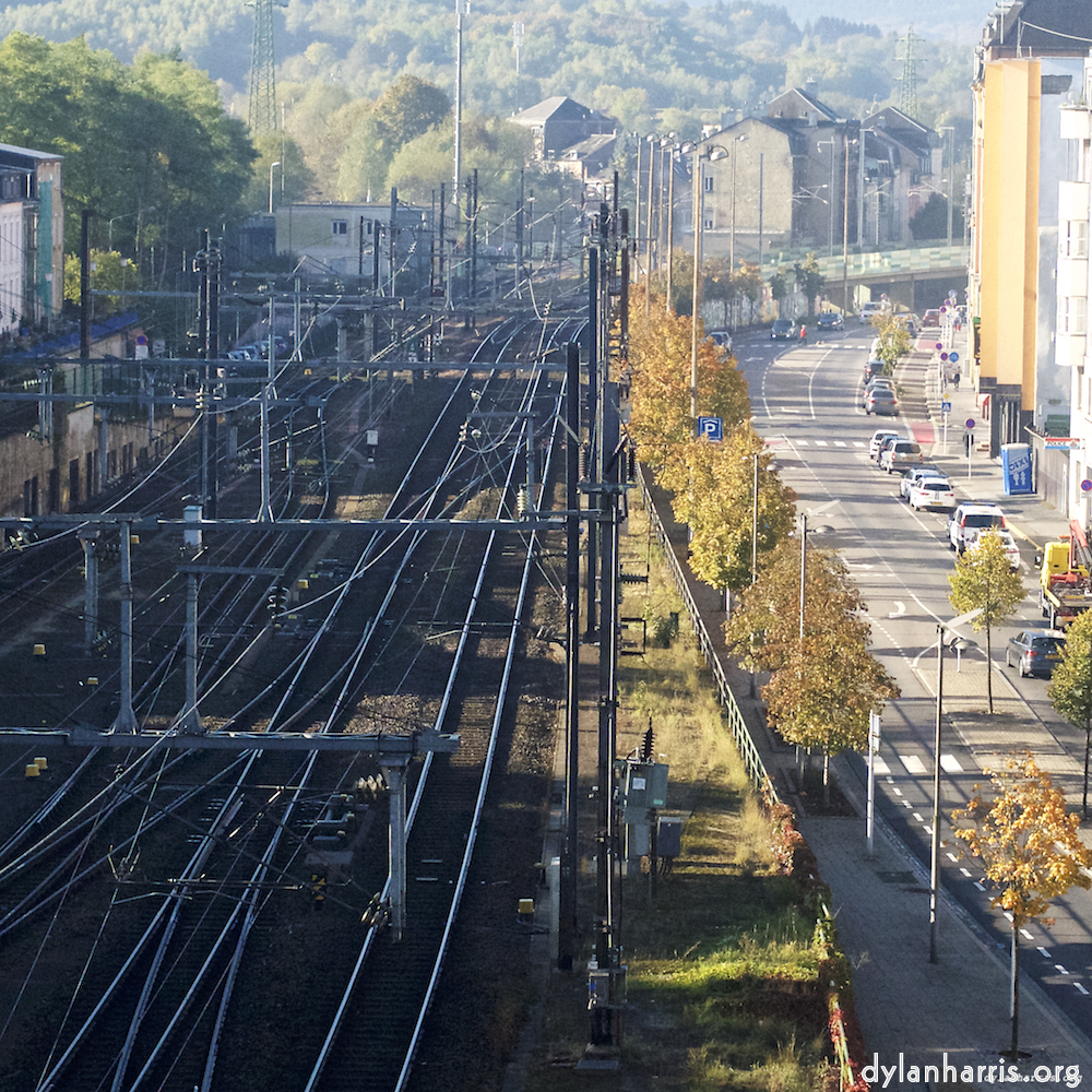 Image 'esch&ndash;sur&ndash;alzette (vi) 2', at Escher D&eacute;ierepark, head and torso of a doe.