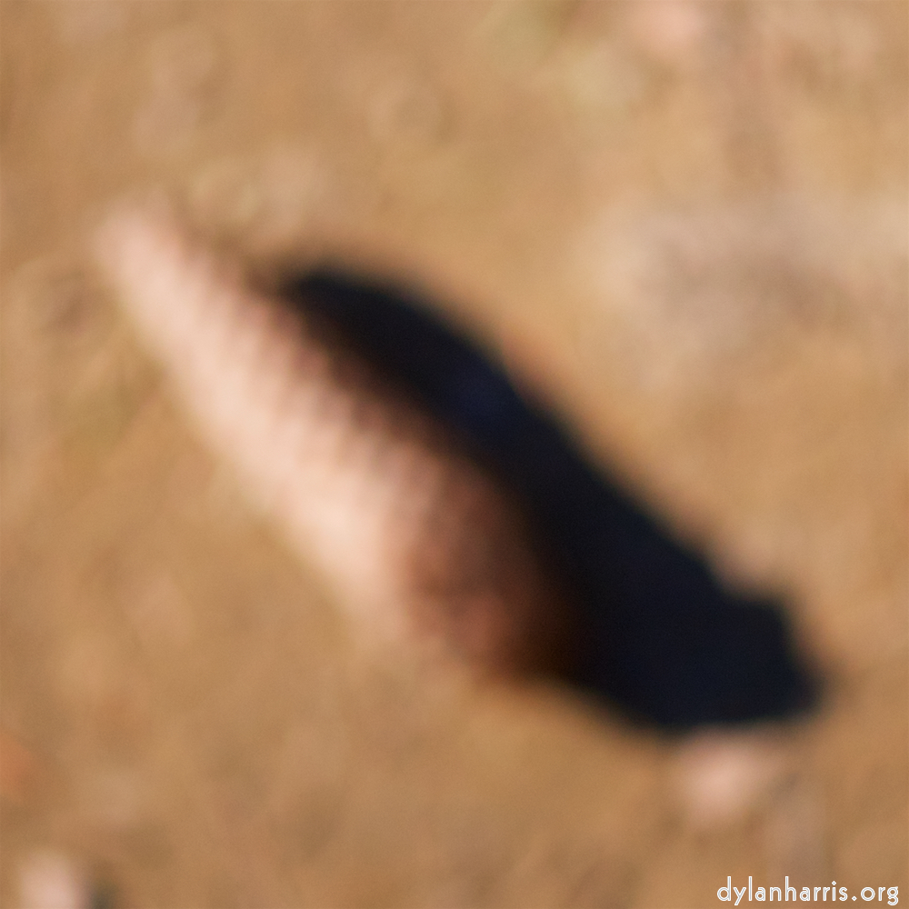 image: Image 'esch&ndash;sur&ndash;alzette (xxii) 2', at Place de la R&eacute;sistance, head and torso of a doe.