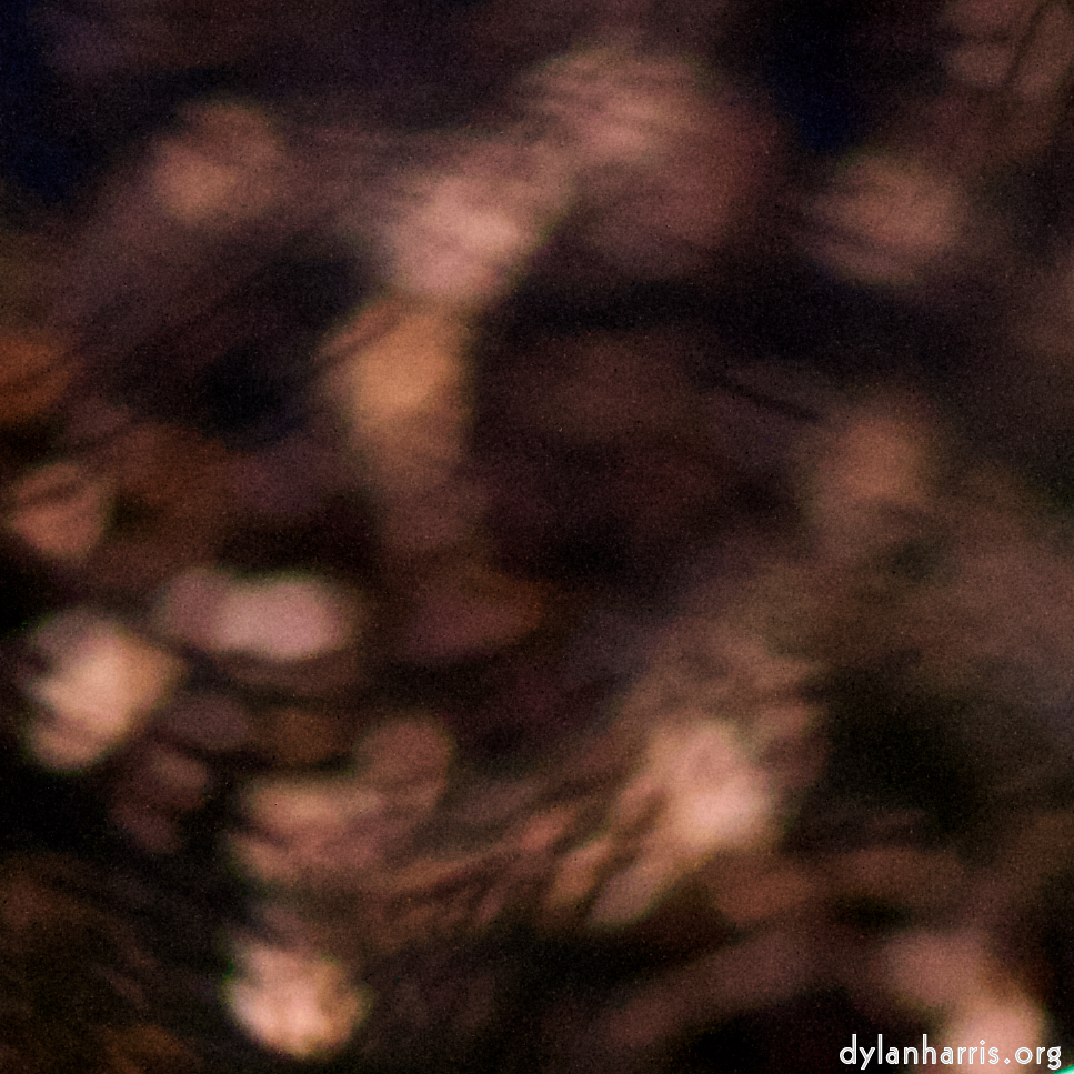 image: Image 'esch&ndash;sur&ndash;alzette (xxii) 6', at Place de la R&eacute;sistance, of deer feeding.