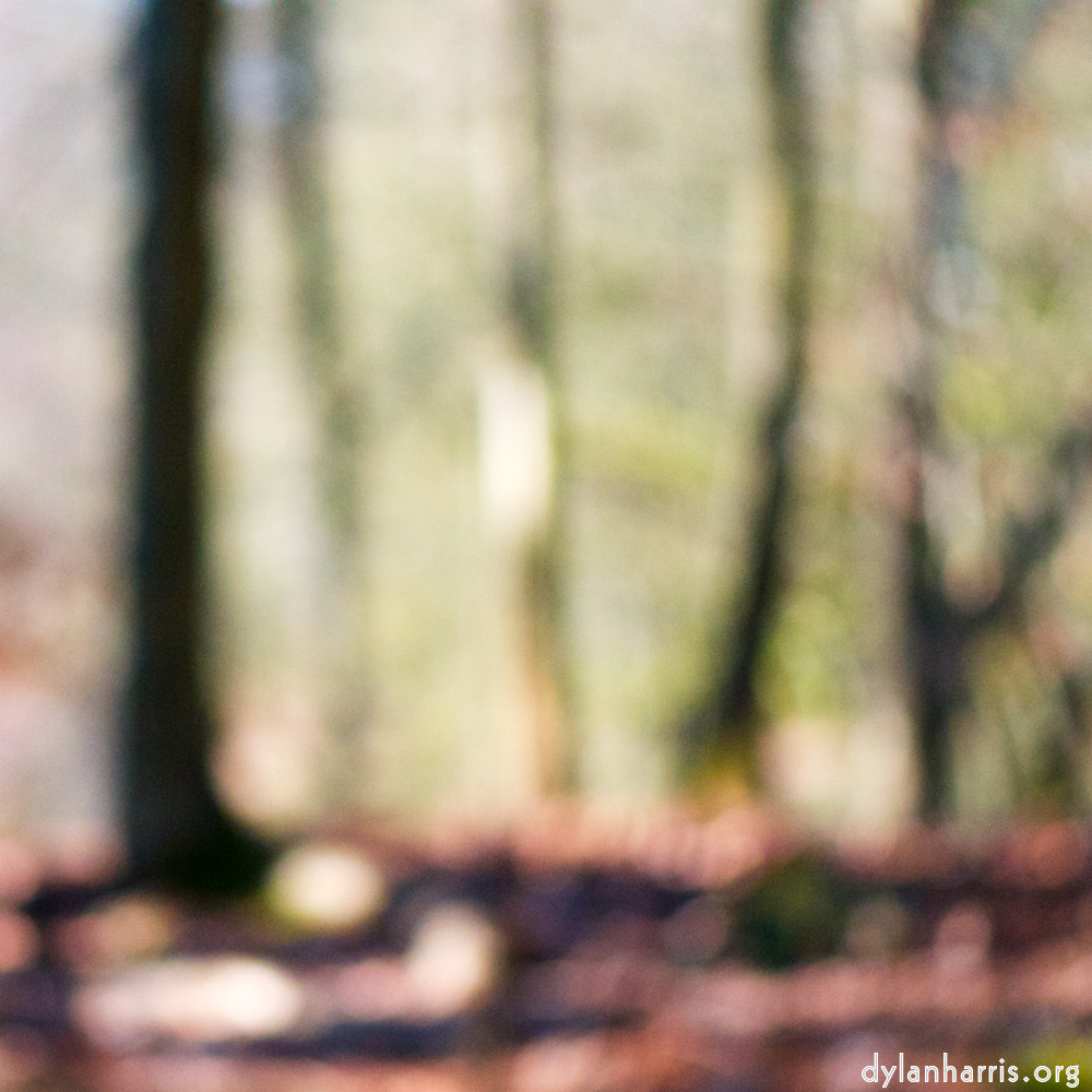 image: Image 'esch&ndash;sur&ndash;alzette (xxii) 8', at Place de la R&eacute;sistance, the snout of a highland bull.
