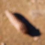 image: From the photoset 'esch&ndash;sur&ndash;alzette (xxii)'.