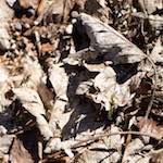 image: From the photoset 'esch&ndash;sur&ndash;alzette (xxii)'.