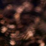 image: From the photoset 'esch&ndash;sur&ndash;alzette (xxii)'.