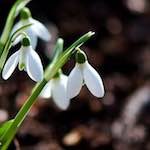 image: From the photoset 'esch&ndash;sur&ndash;alzette (xxii)'.