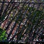 image: Image from the photoset &lsquo;montmartre (v)&rsquo;.