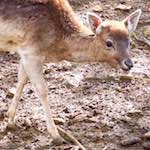 Second image of Escher D&eacute;ierepark, from the photoset 'esch&ndash;sur&ndash;alzette (ii)'.