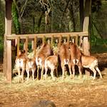 Sixth image of Escher D&eacute;ierepark, from the photoset 'esch&ndash;sur&ndash;alzette (ii)'.