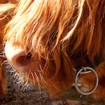 Seventh image of Escher D&eacute;ierepark, from the photoset 'esch&ndash;sur&ndash;alzette (ii)'.