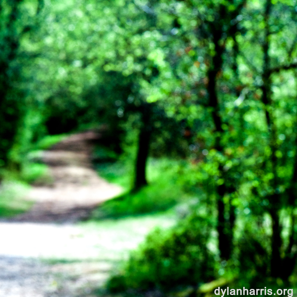 image: This is &lsquo;wood (xlv) 2&rsquo;.