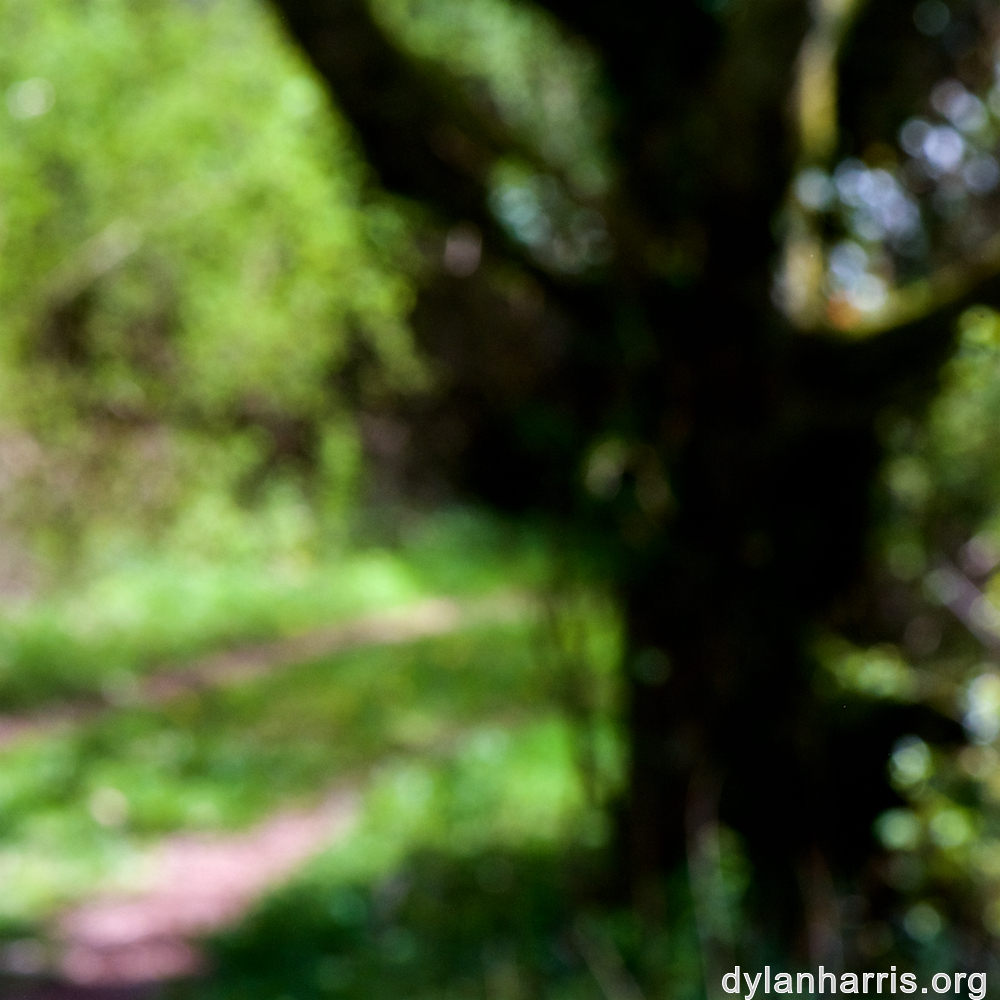 image: This is &lsquo;wood (xlv) 3&rsquo;.