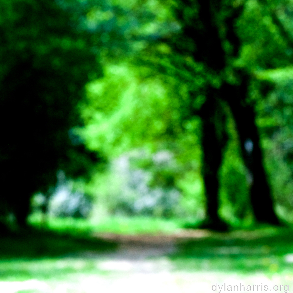 image: This is &lsquo;wood (xlv) 4&rsquo;.