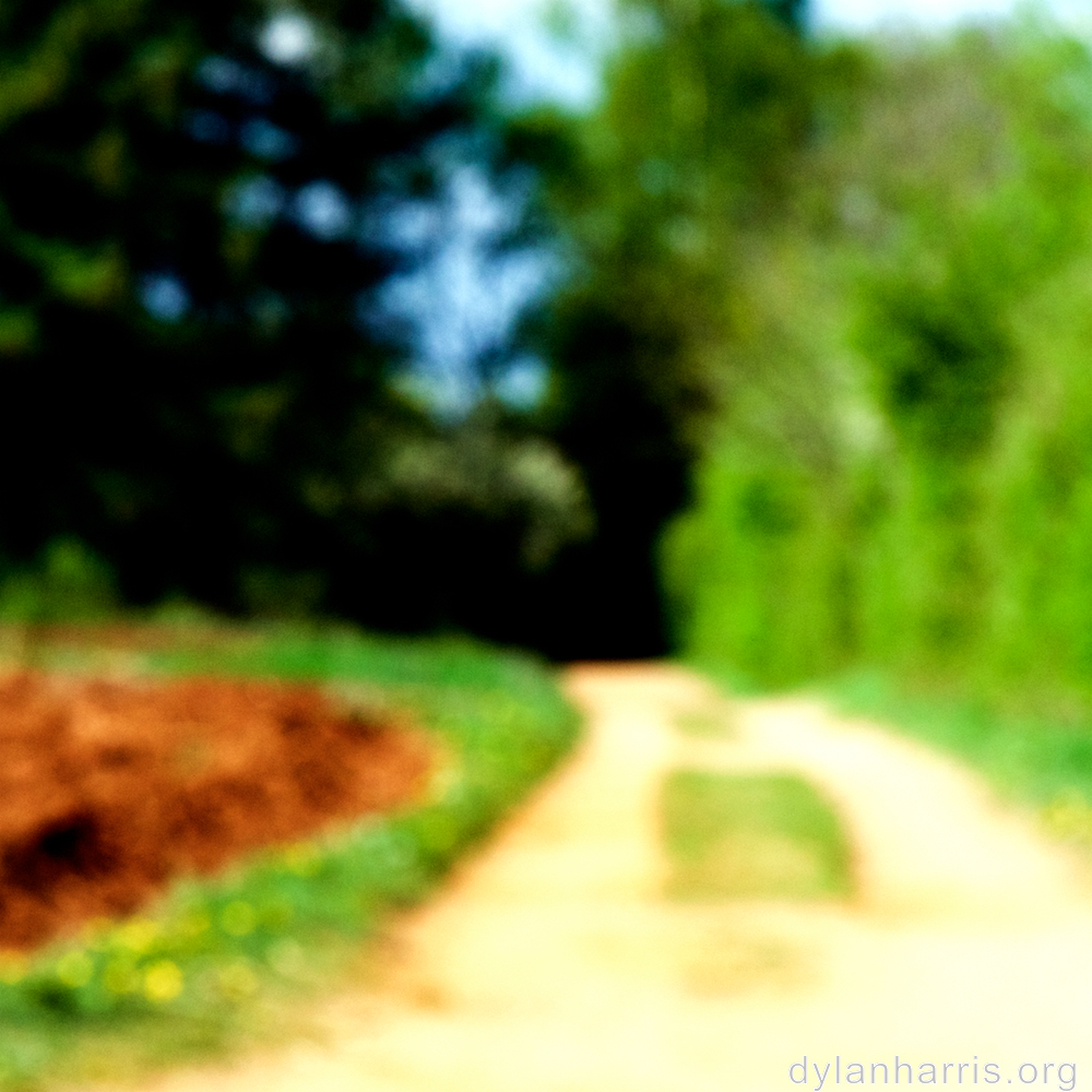 image: This is &lsquo;wood (xlv) 5&rsquo;.