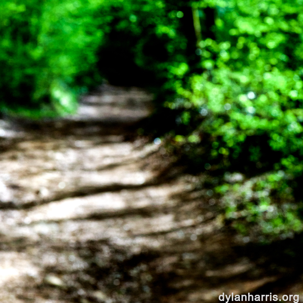 image: This is &lsquo;wood (xlvi) 3&rsquo;.