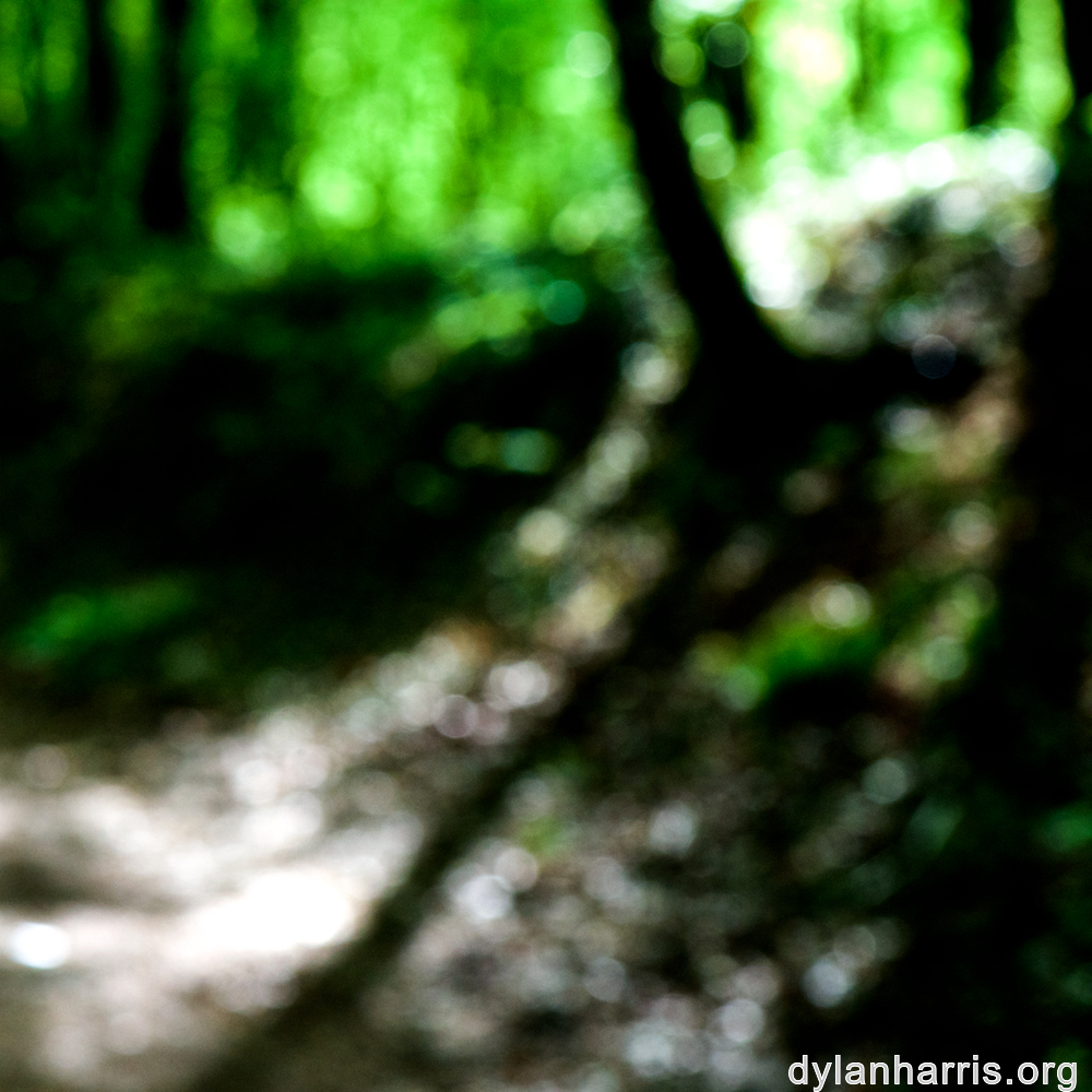 image: This is &lsquo;wood (xlvi) 4&rsquo;.