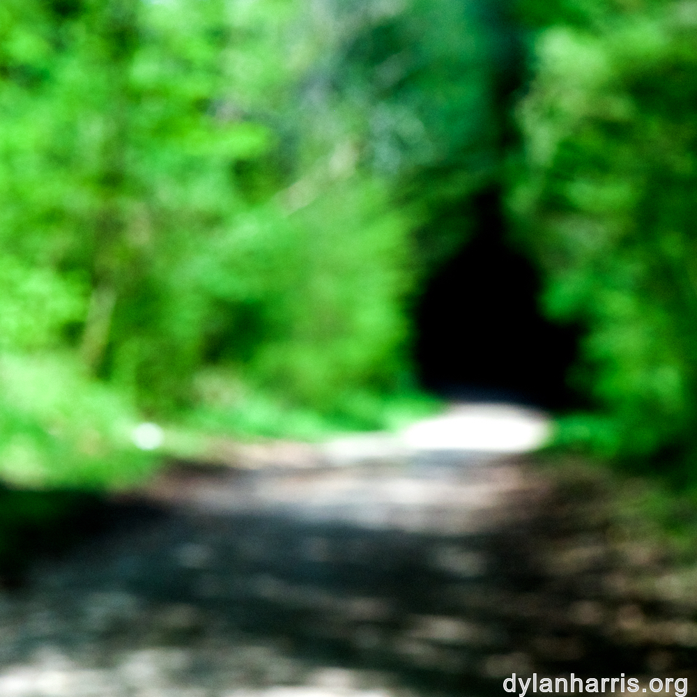 image: This is &lsquo;wood (xlvi) 6&rsquo;.