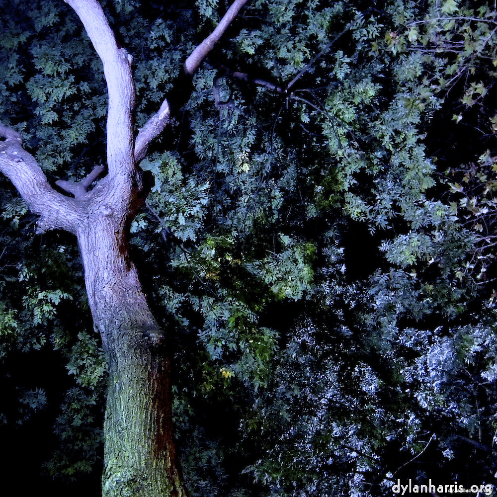 Image 'nuit (iii) 2'.