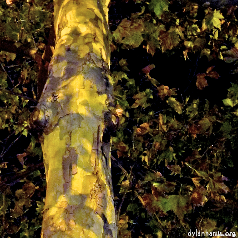 Image 'paris (vi) 5'.