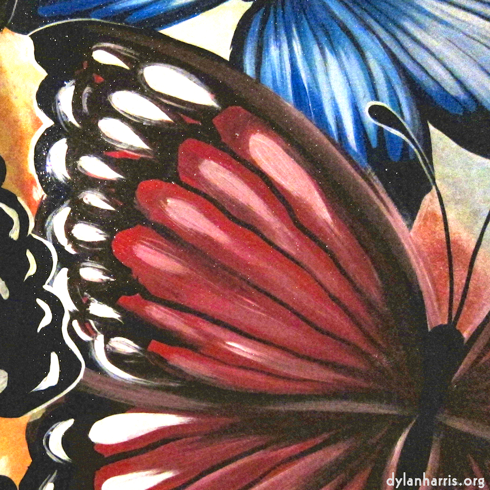 Image 'elephant (i) 1'.