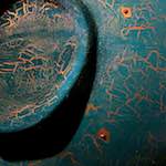 image: Image from the photoset &lsquo;elephant (ii)&rsquo;.