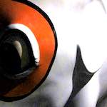 Fifth image from the photoset 'elephant (iii)'.