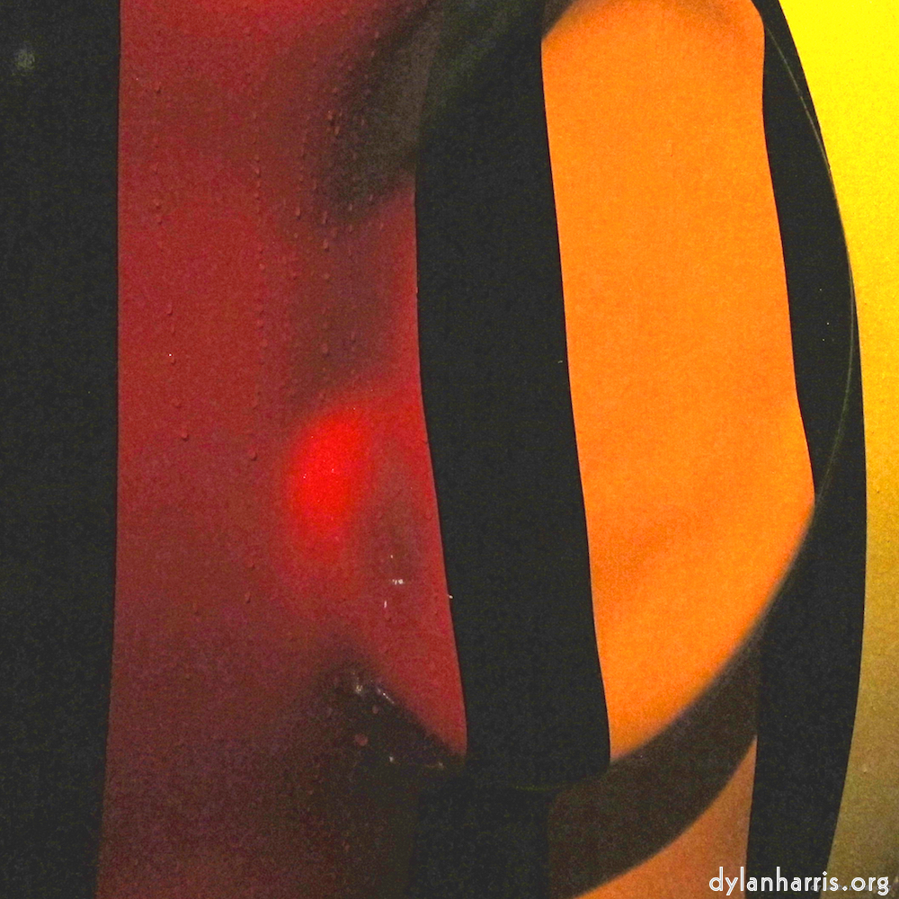 Image 'elephant (iv) 4'.