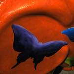 Sixth image from the photoset 'elephant (iv)'.