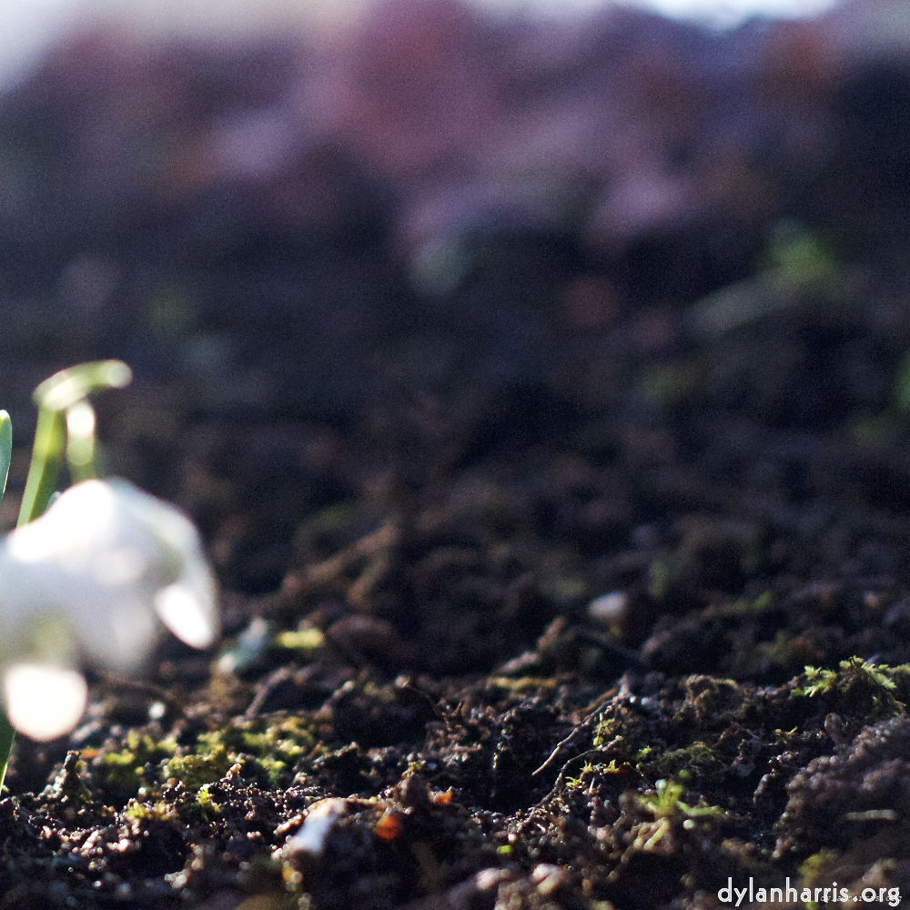 image: This is &lsquo;park (xxii) 1&rsquo;.