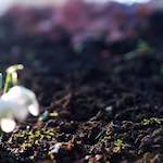 Image: First image from the photoset 'parc (xxii)'.