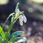 Image: Fourth image from the photoset 'parc (xxii)'.