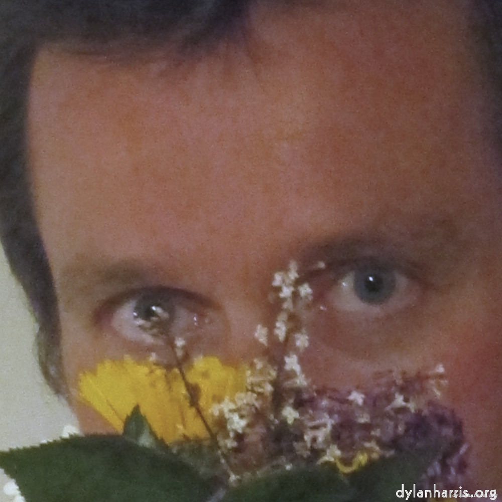 Image 'poets (viii) 6'.