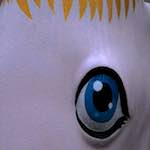 First image from the photoset 'elephant (v)'.